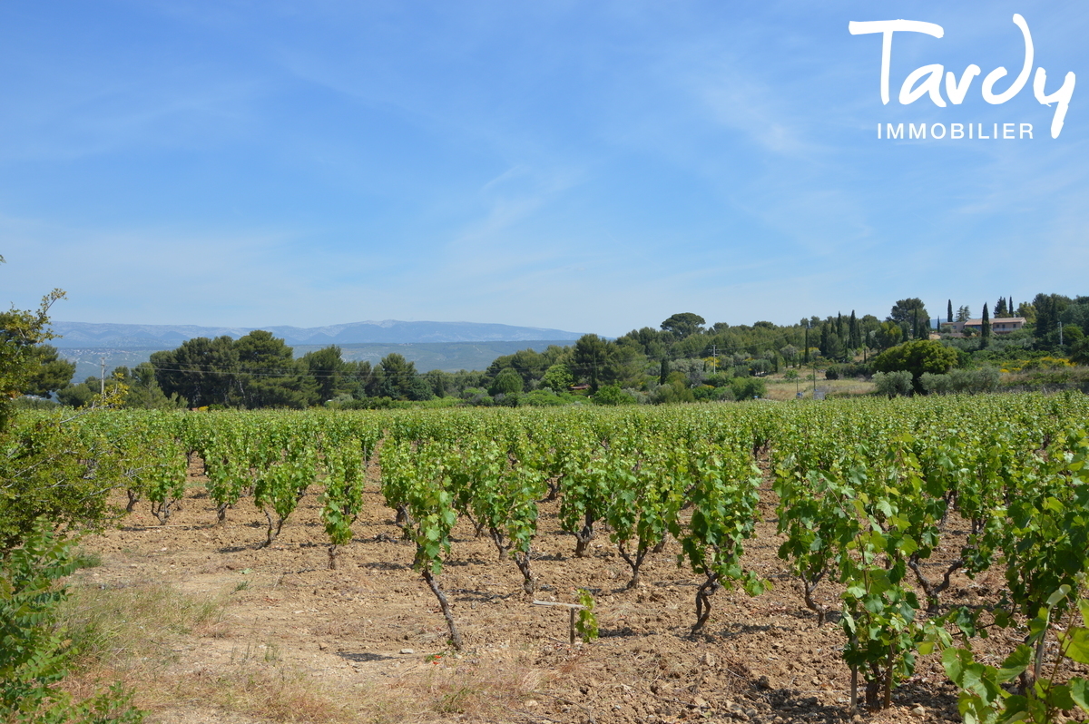 Proprit en pierre, le charme, les vignes - 83330 Le Castellet - Le Castellet