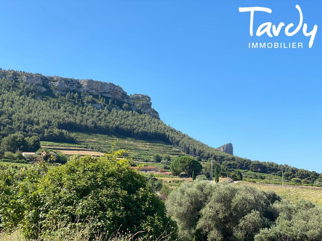 Petit vignoble, vue dgage - 13260 CASSIS - Cassis