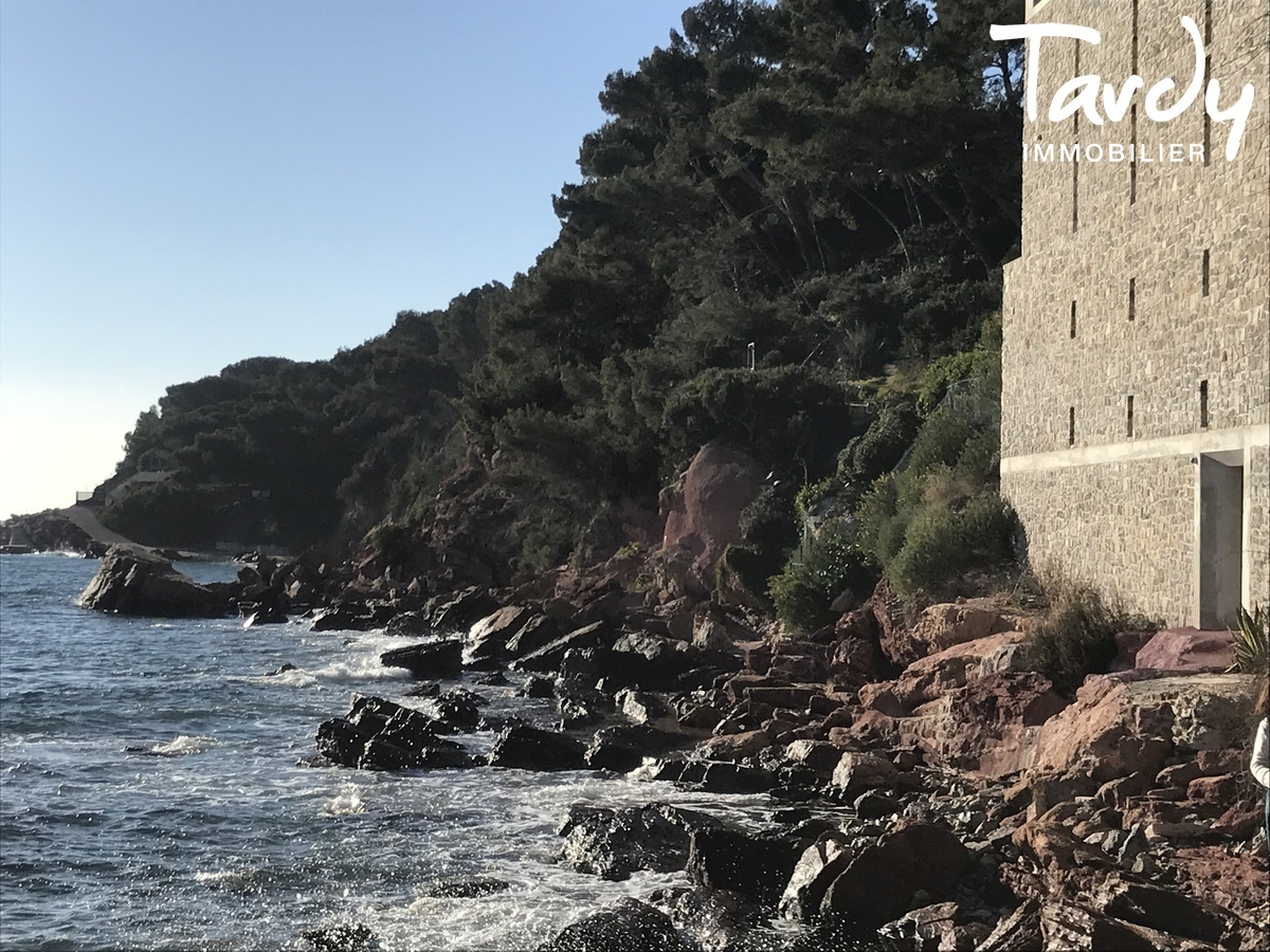 Pieds dans l'eau d'architecte, port  pieds - 83110 SANARY-SUR-MER - Sanary-sur-Mer