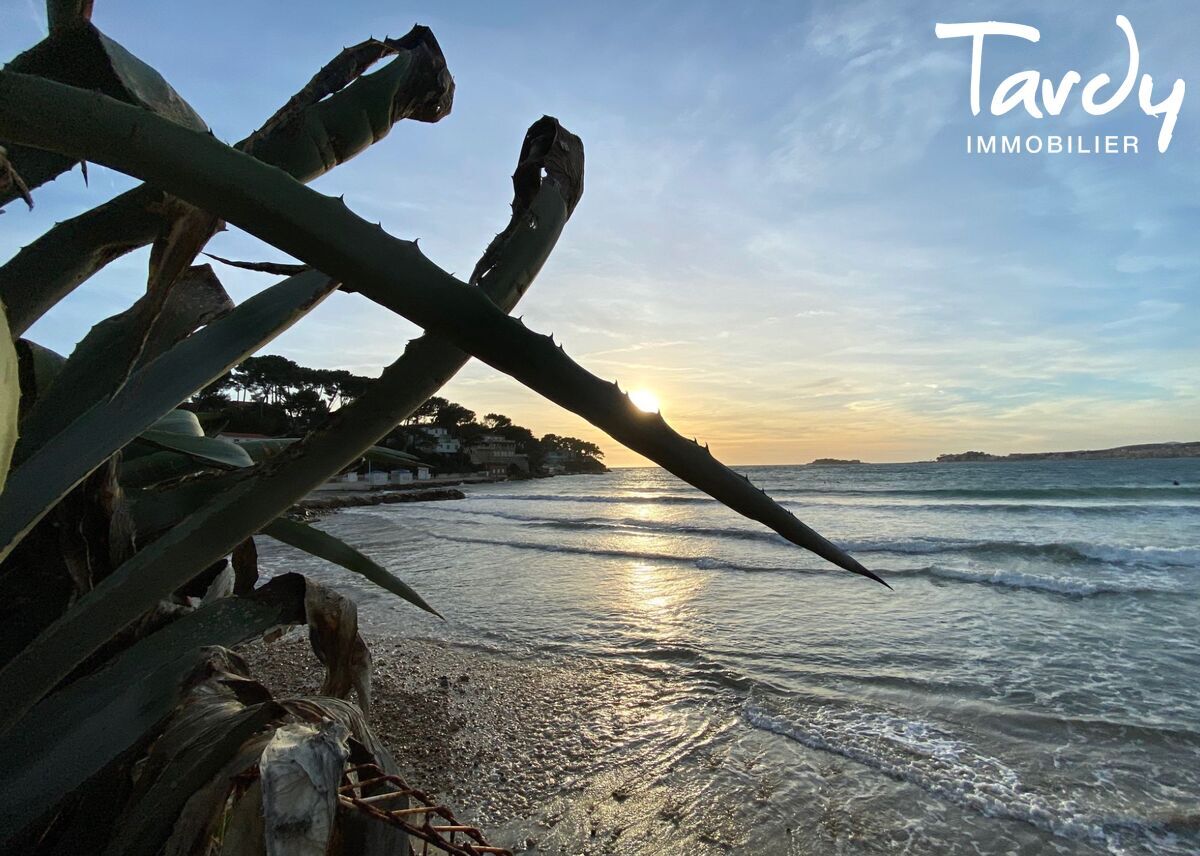 Pieds dans l'eau, accs mer, proche commerces - 83110 SANARY-SUR-MER - Sanary-sur-Mer