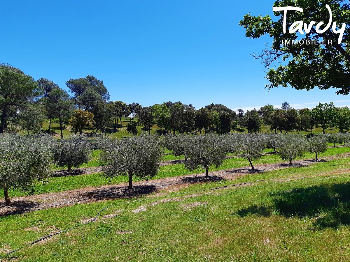 Bâtisse 17ème de caractère 520 hectares - Provence Verte - 45 min AIX EN PROVENCE - Cotignac