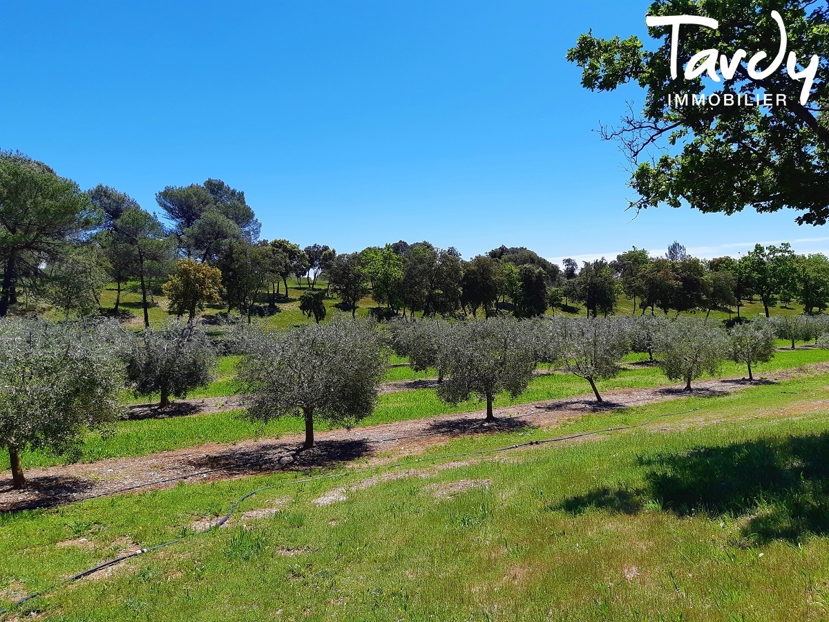 Proprit du 17me de caractre - 520 hectares en Provence Verte - 45 min AIX EN PROVENCE - Saint-Maximin-la-Sainte-Baume