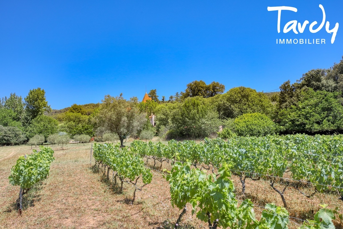 Proprit cadre campagne grand parc - 83300 DRAGUIGNAN - Draguignan - Castle with big land for sale Frenchriviera