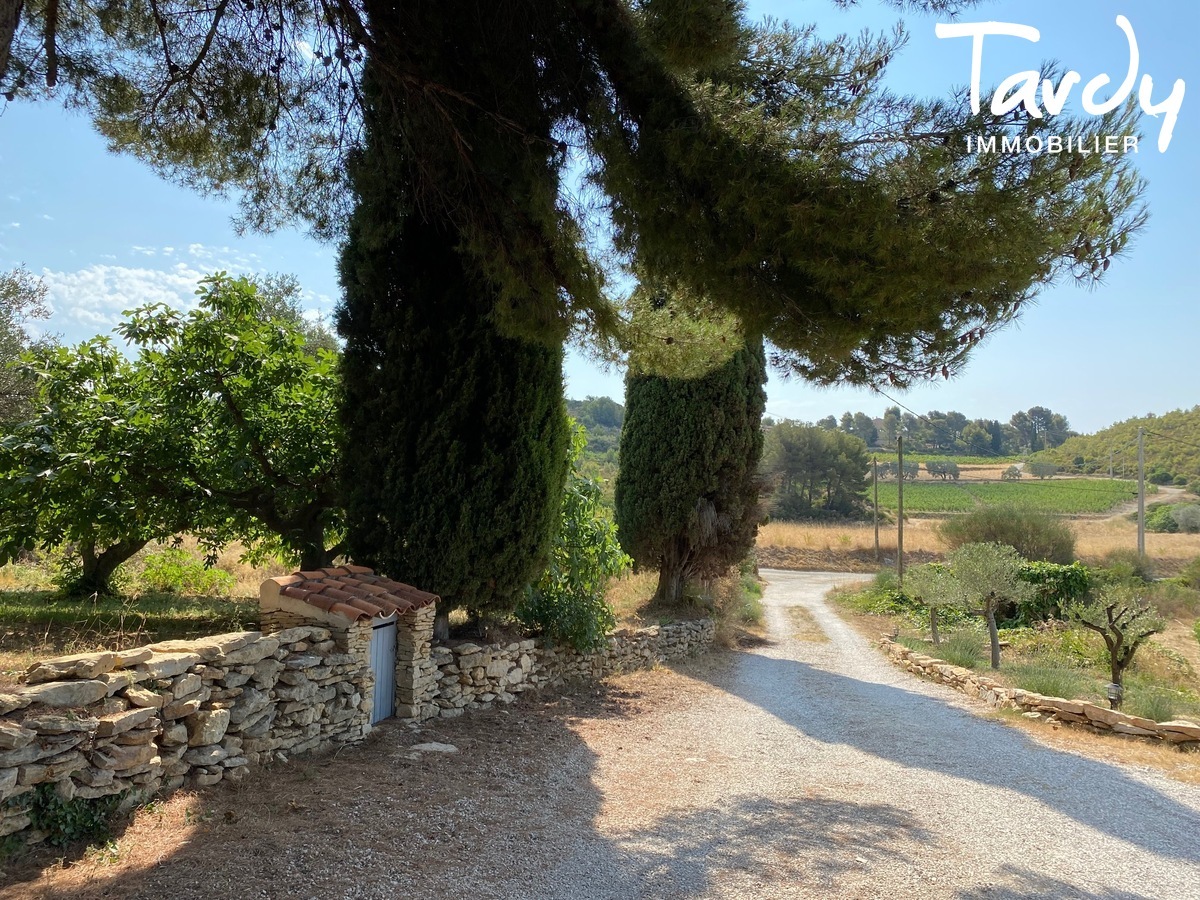 Mas en pierre rnov, campagne et calme absolu - 83740 LA CADIERE D'AZUR - La Cadire-d'Azur