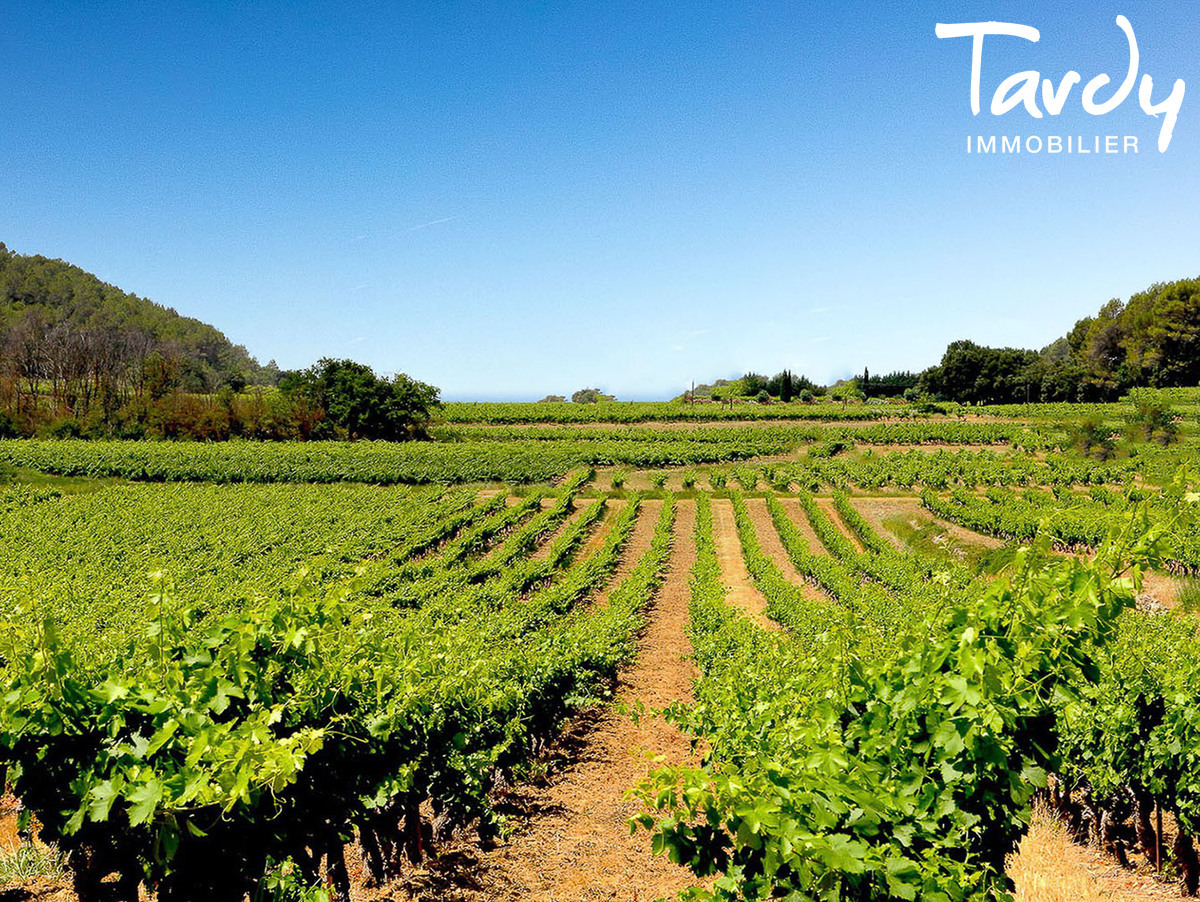 Bastide et gtes en pierres au cur de ses vignes - 83570 ENTRECASTEAUX - Entrecasteaux