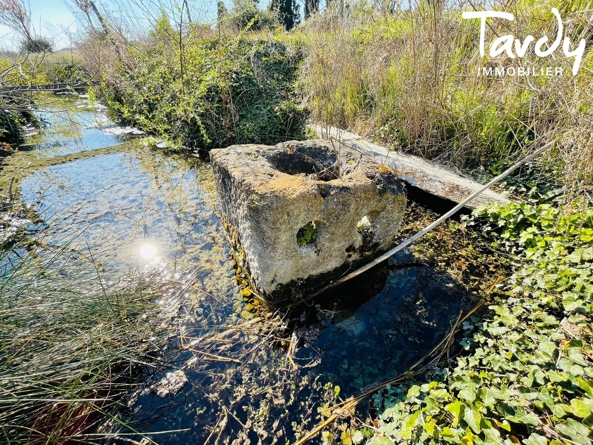 Proprit d'exception sur 14 ha - 84000 AVIGNON  - Avignon - proprit autonome en eau en Provence