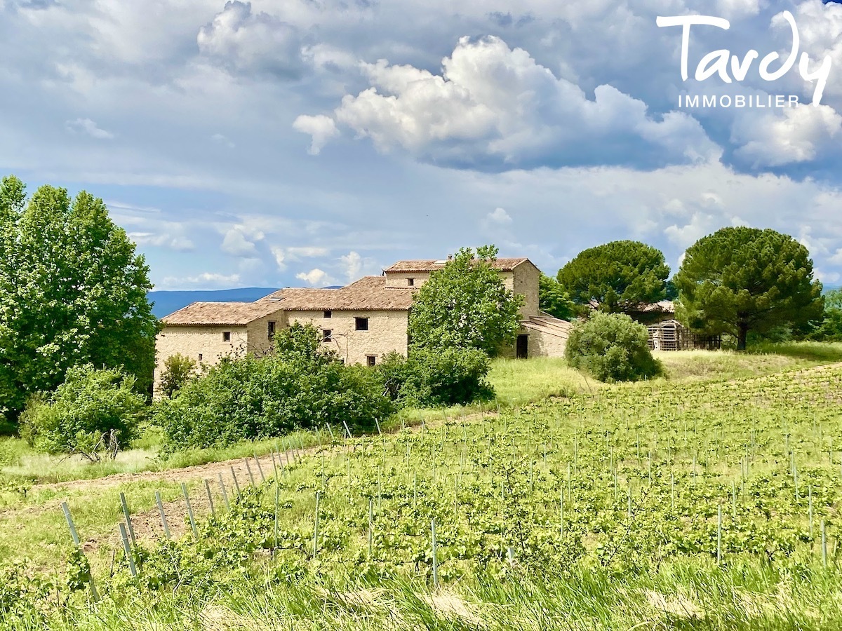 Proprit de caractre - Vue Luberon et Mont Ventoux - 84400 APT - Apt - PROPRIETE AU CALME APT 84400