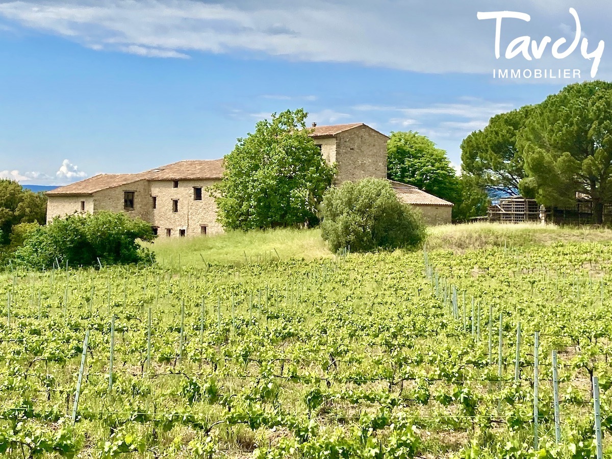 Proprit de caractre - Vue Luberon et Mont Ventoux - 84400 APT - Apt - VUE DEGAGEE APT 84400