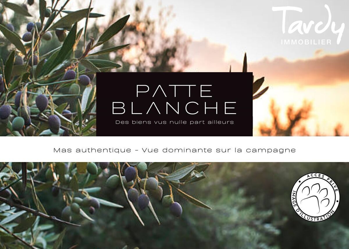 Authentique Mas de charme - 83330 BEAUSSET - Le Beausset - Tardy Patte Blanche Domaine d'exception