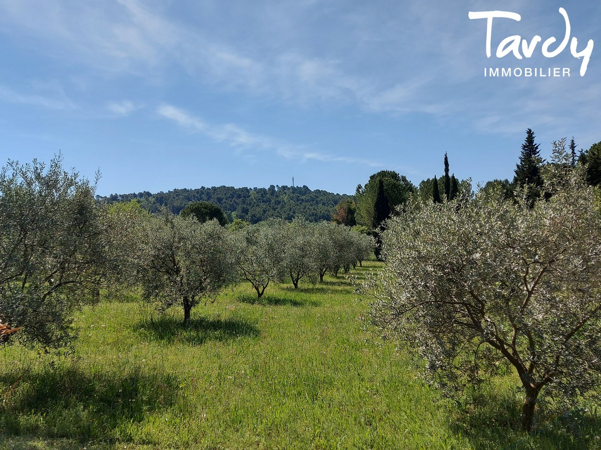 Bastide contemporaine - village  pied - 84160 LOURMARIN - Lourmarin