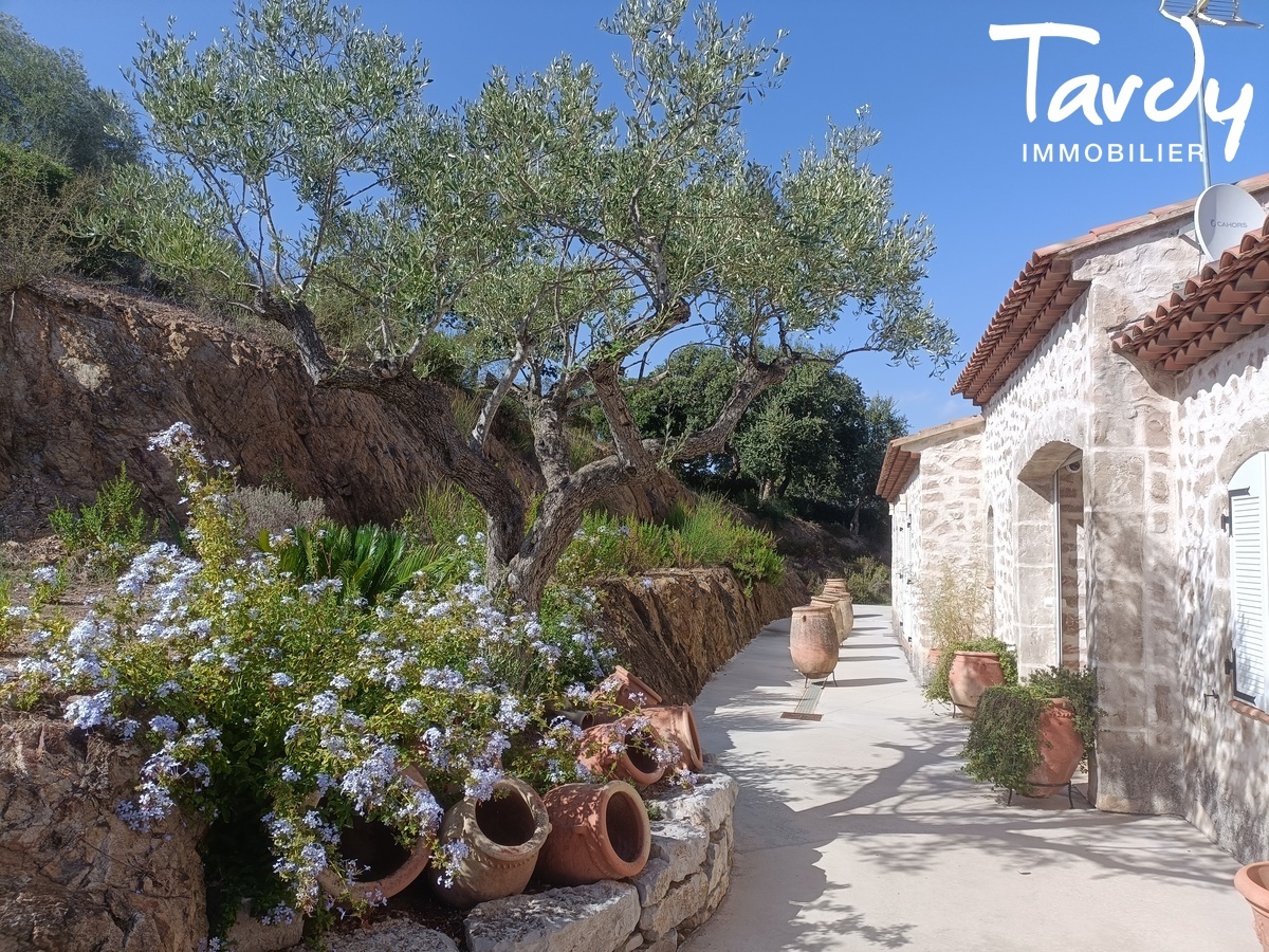Grande Maison Familiale avec piscine  83230 BORMES LES MIMOSAS  - Bormes-les-Mimosas - Villa rcente Bormes les Mimosas Vue mer Grande Piscine Tardy Immobilier