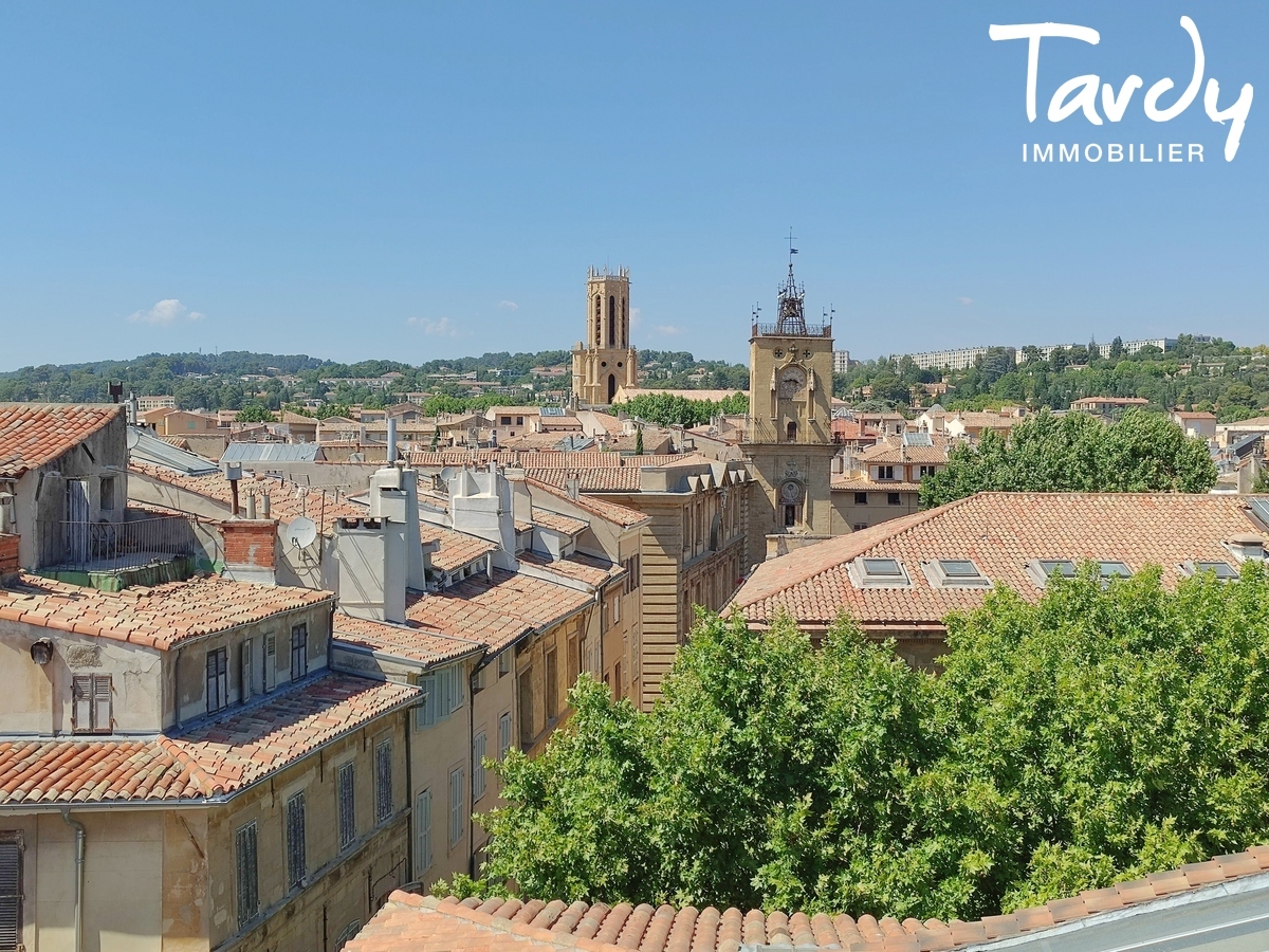 Duplex avec terrasse panoramique en centre-ville - 13100 AIX EN PROVENCE - Aix-en-Provence