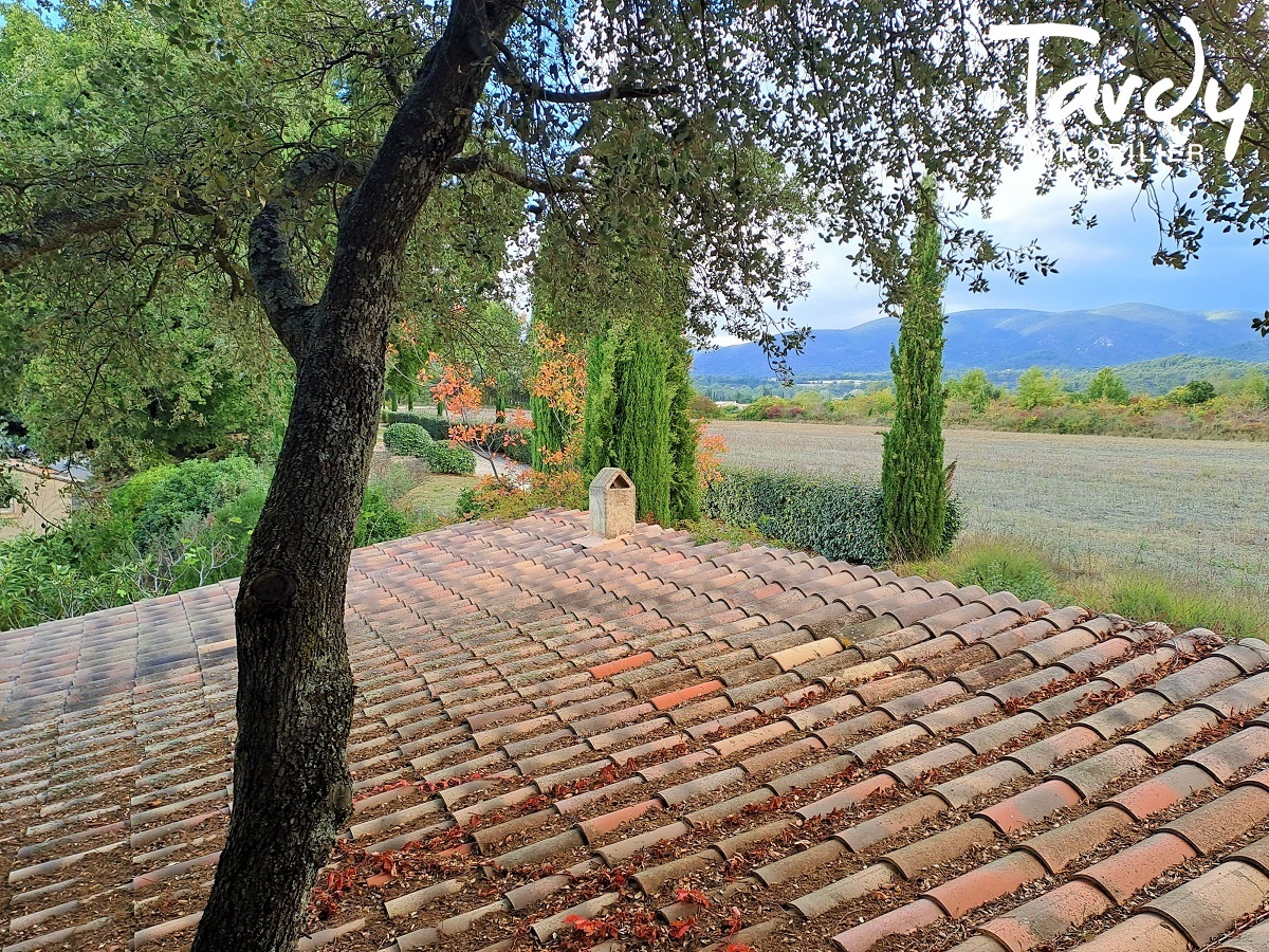 Mas en pierre avec maison d'amis - Charme de l'ancien - 84160 LOURMARIN - Vaugines