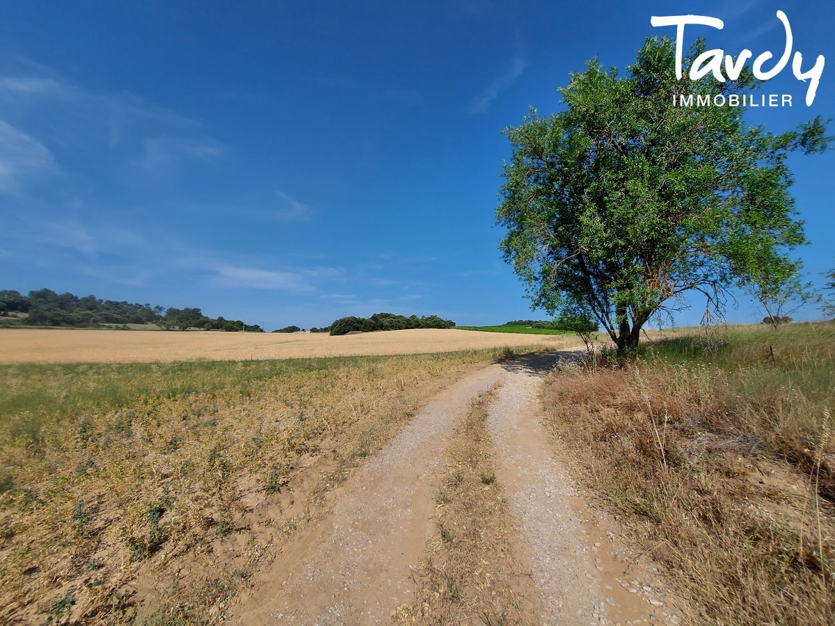 Proprit viticole - authentique mas ancien - 84120 MIRABEAU - Lourmarin