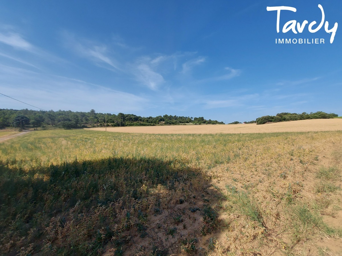 Proprit viticole - authentique mas ancien - 84120 MIRABEAU - Lourmarin
