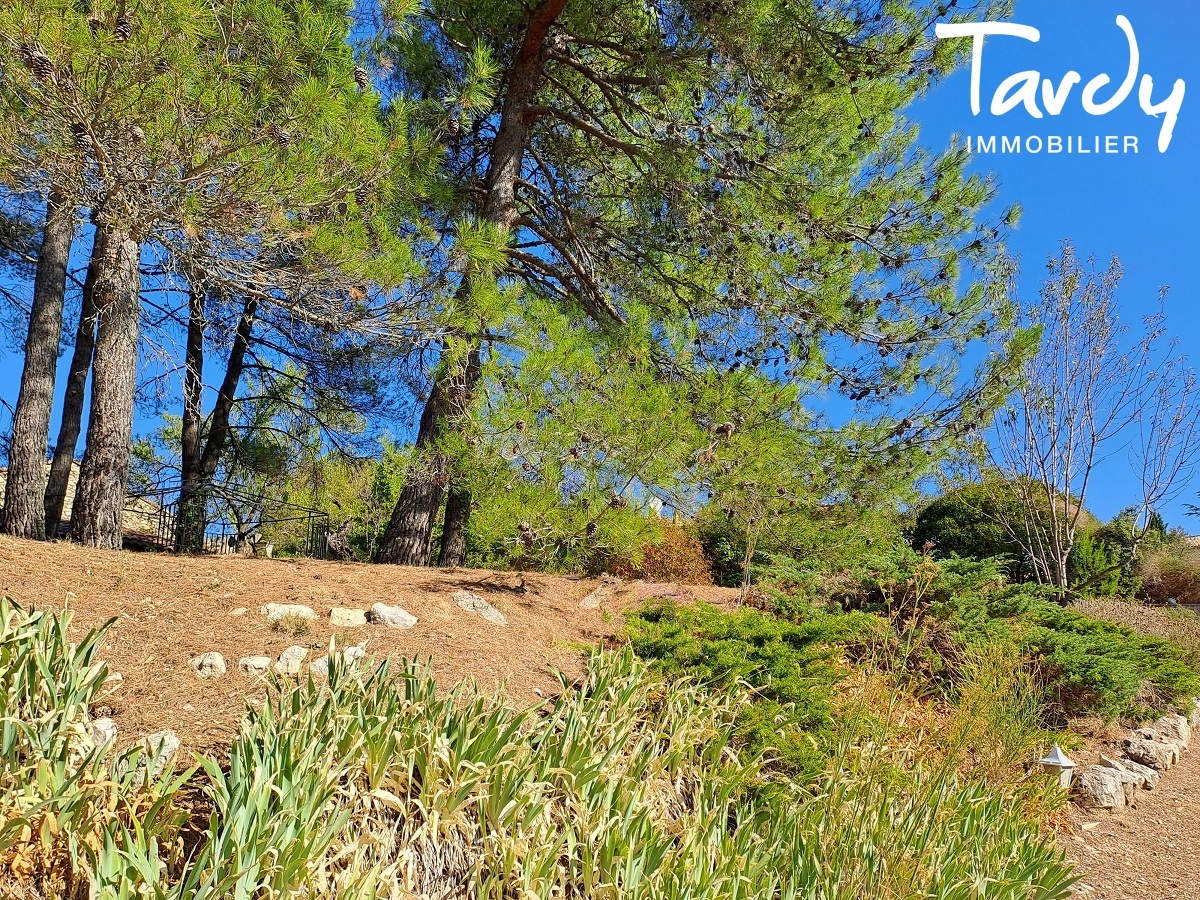 Maison de Matre avec piscine - Charmant village - 20 MIN LOURMARIN - Lourmarin