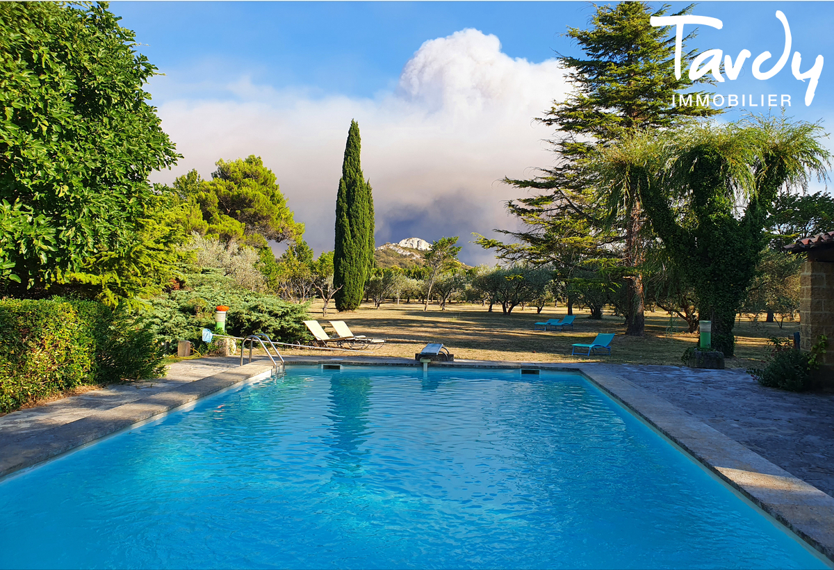 Demeure provenale vue nature - 84000 AVIGNON - Avignon