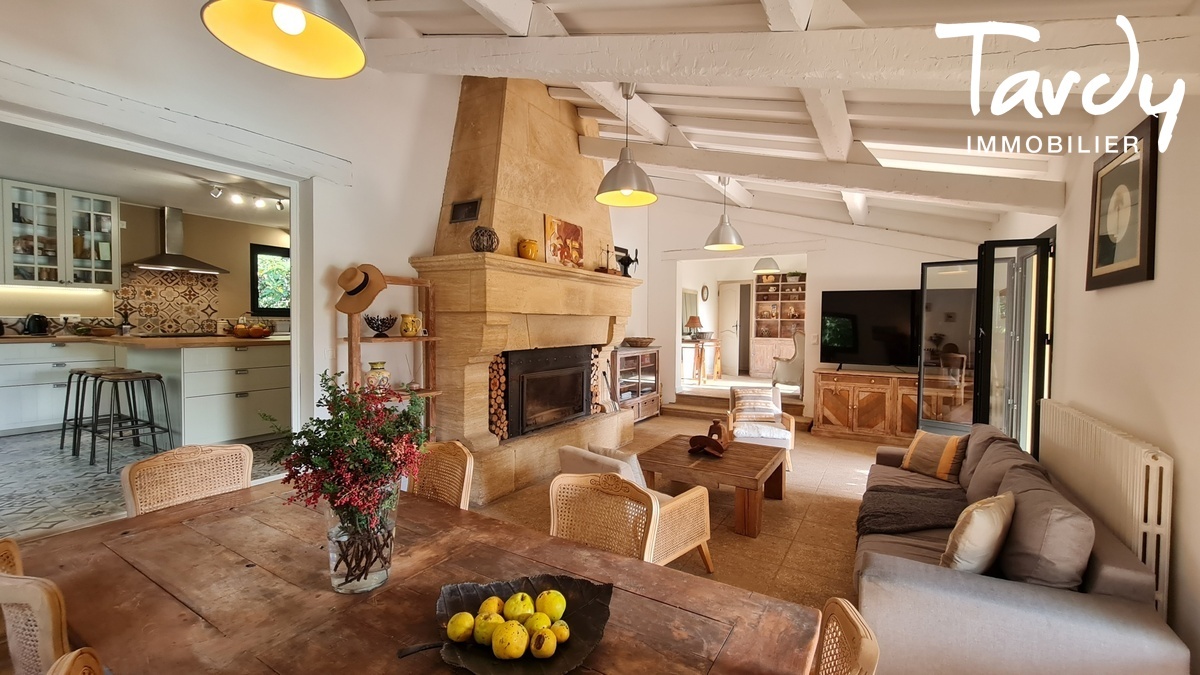 Demeure provenale vue nature - 84000 AVIGNON - Aramon