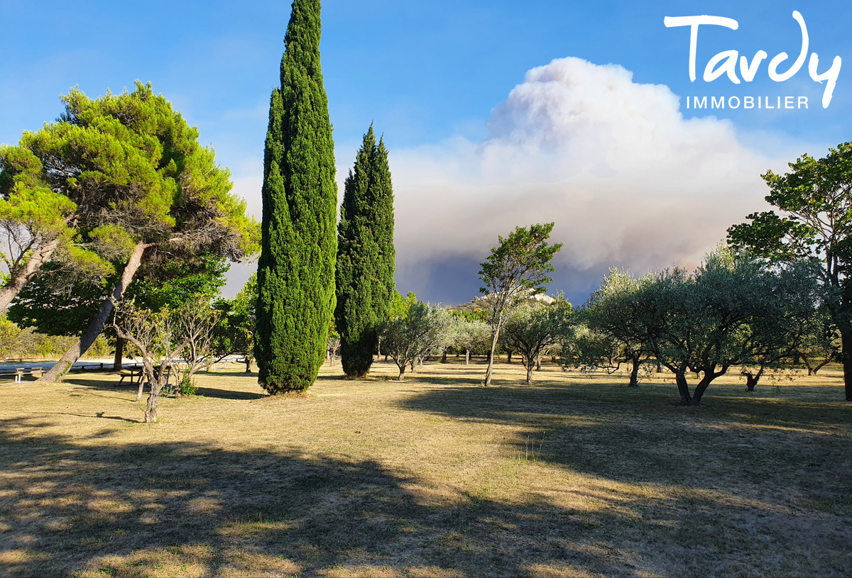 Demeure provenale vue nature - 84000 AVIGNON - Aramon