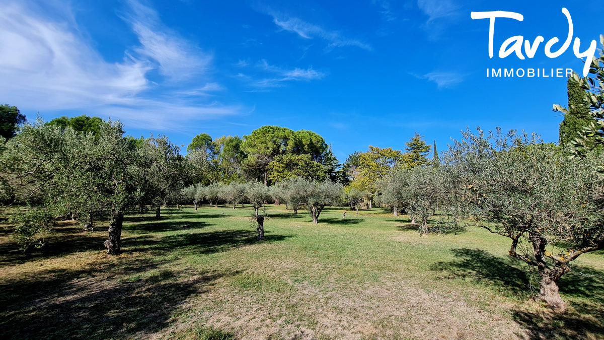 Demeure provenale vue nature - 84000 AVIGNON - Aramon