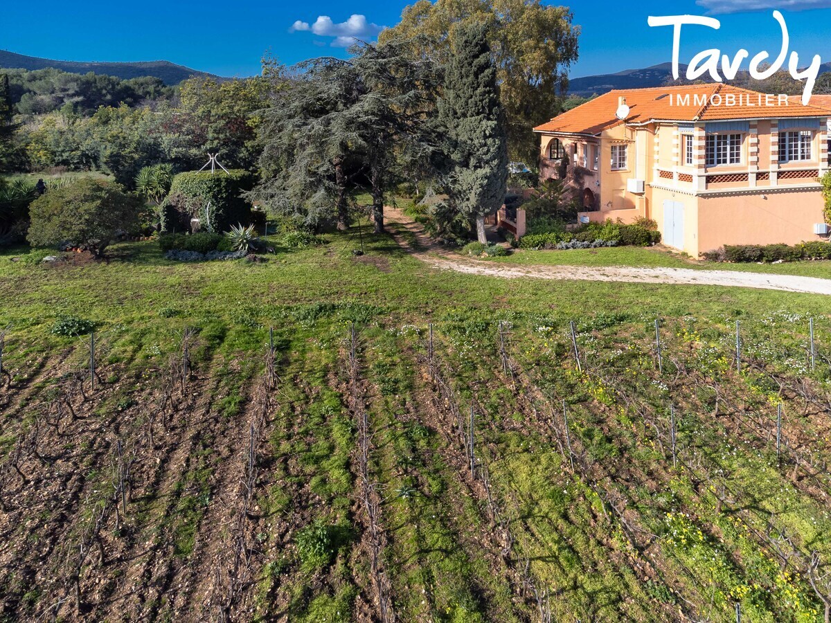 Ancienne maison vigneronne et ses 4,5 hectares de vignes - 83230 BORMES LES MIMOSAS  - Bormes-les-Mimosas