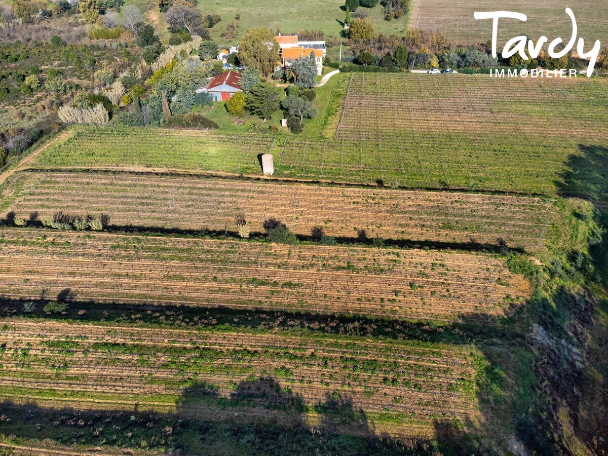 Ancienne maison vigneronne et ses 4,5 hectares de vignes - 83230 BORMES LES MIMOSAS  - Bormes-les-Mimosas