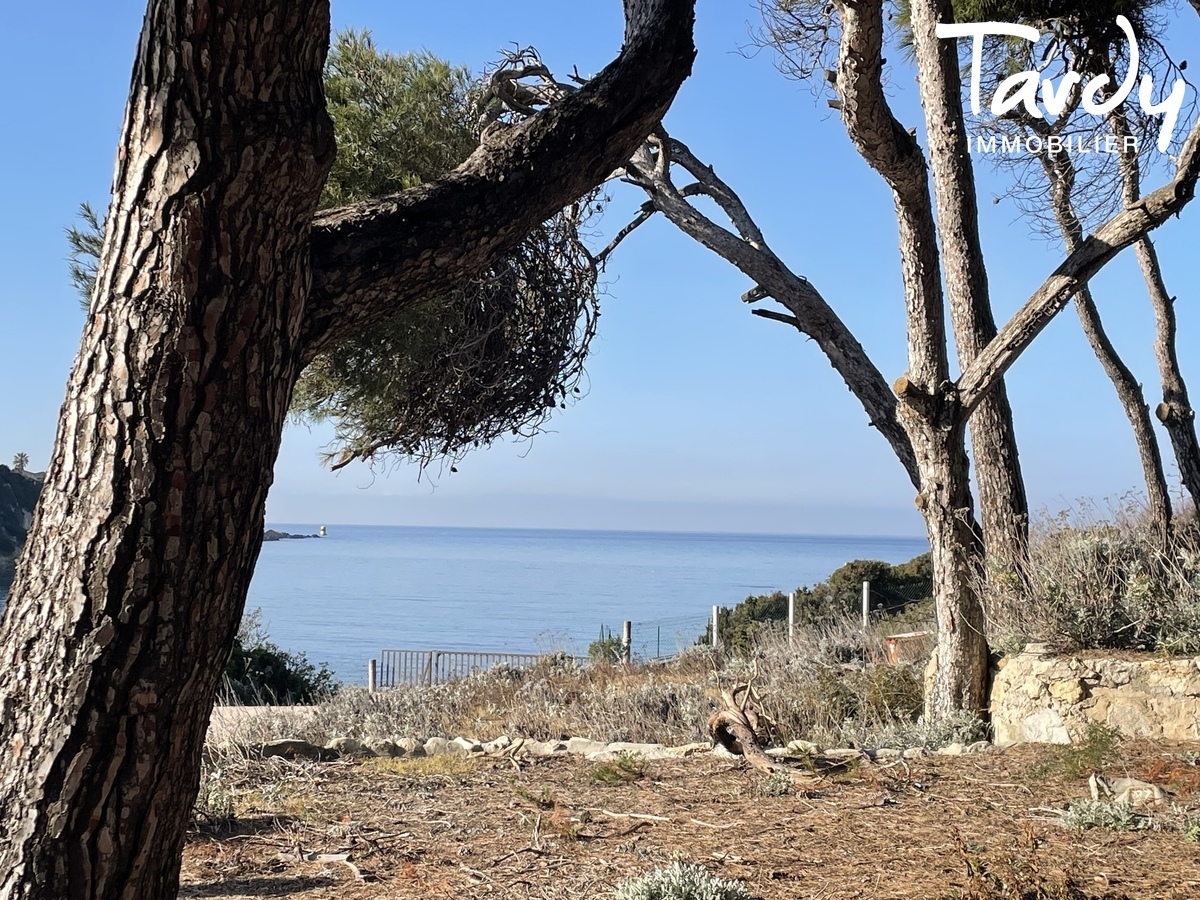 Terrain vue mer, plage de Beaucours et port  pieds - 83110 SANARY SUR MER  - Sanary-sur-Mer