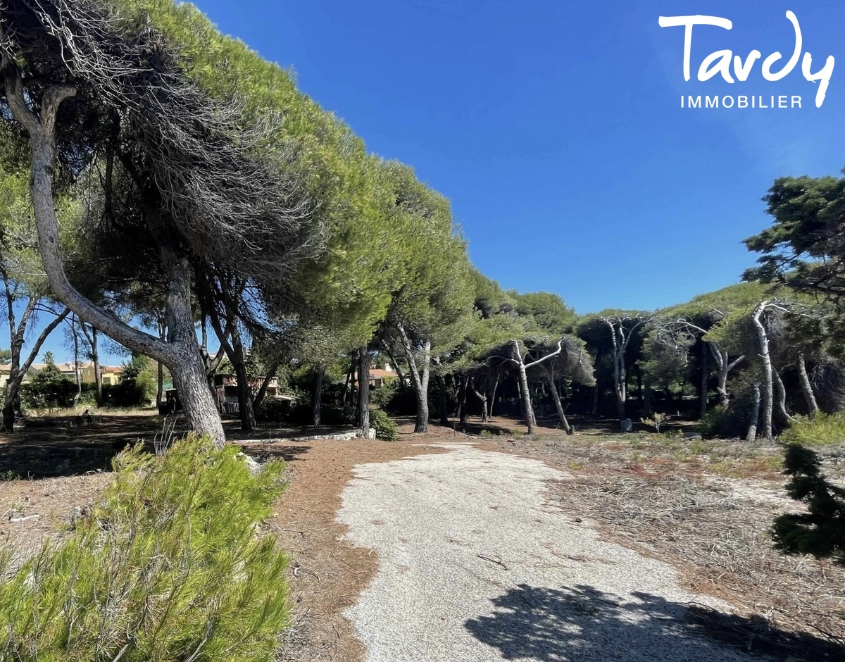 Terrain vue mer, plage de Beaucours et port  pieds - 83110 SANARY SUR MER  - Sanary-sur-Mer