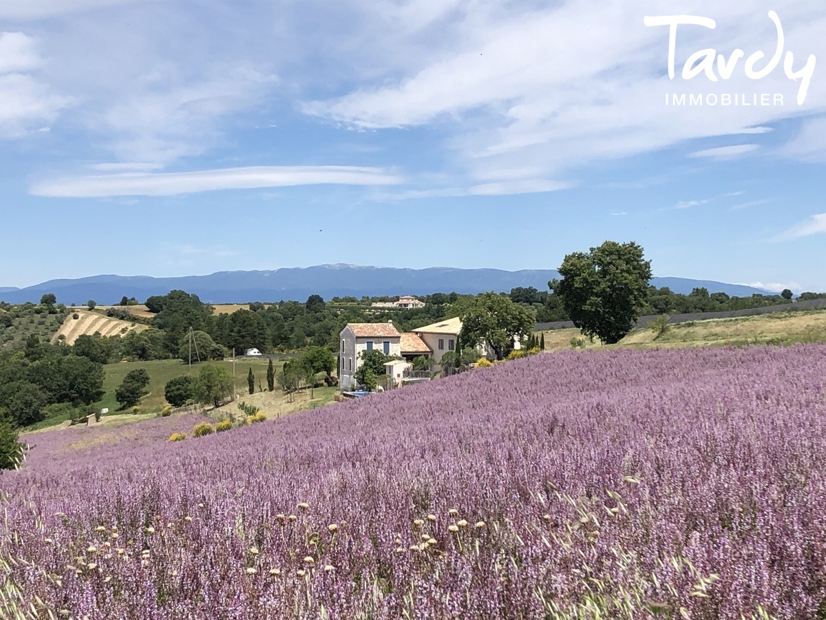 Magnifique proprit - Vue dgage - 04210 VALENSOLE - Valensole - Tropzienne