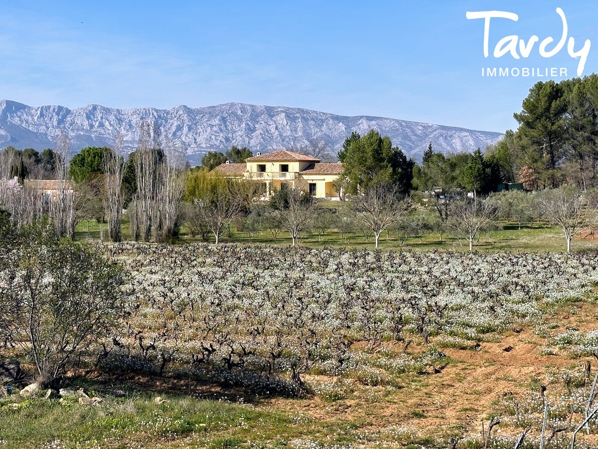 Belle proprit familiale - vue dgage - 13100 AIX EN PROVENCE - Aix-en-Provence - Grande proprit Aix en Provence