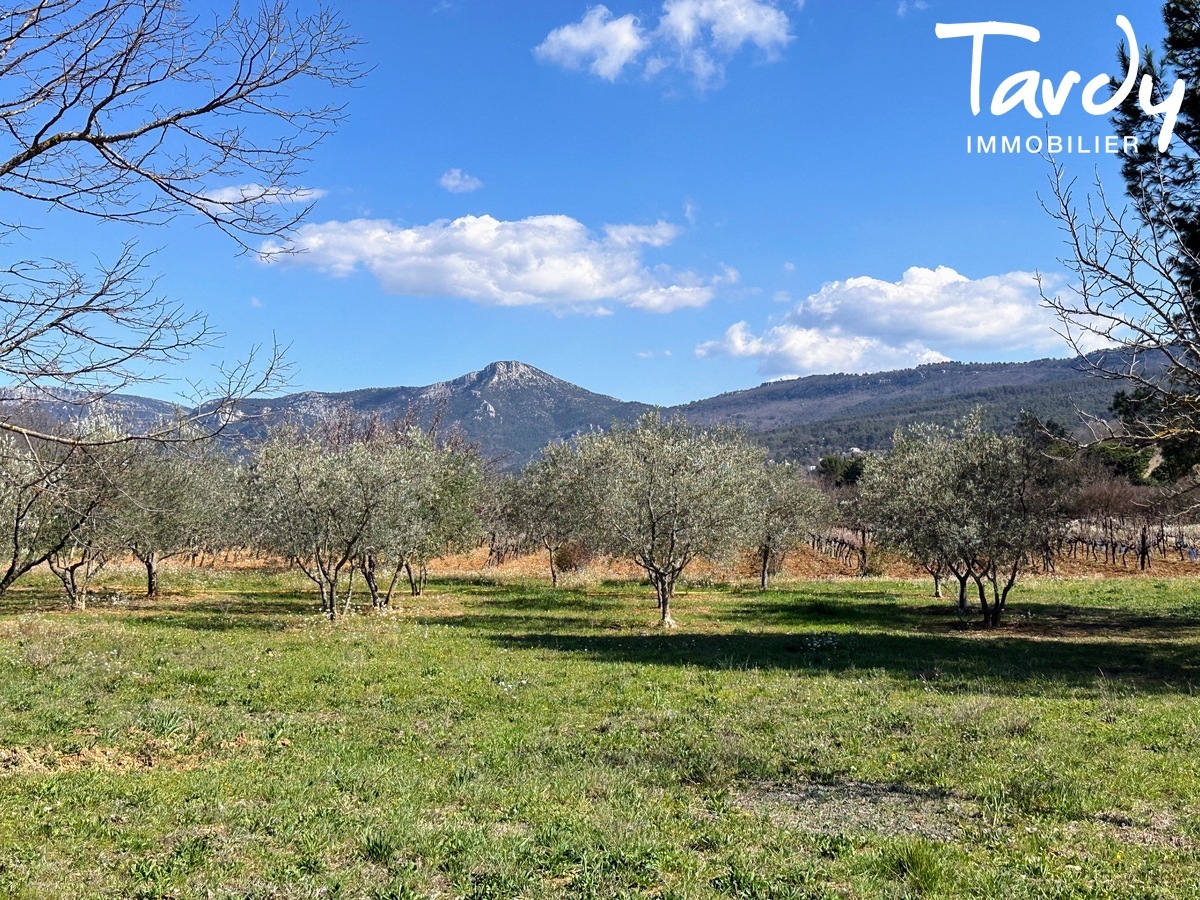 Belle proprit familiale - vue dgage - 13100 AIX EN PROVENCE - Aix-en-Provence - Campagne sans vis  vis Aix en Provence