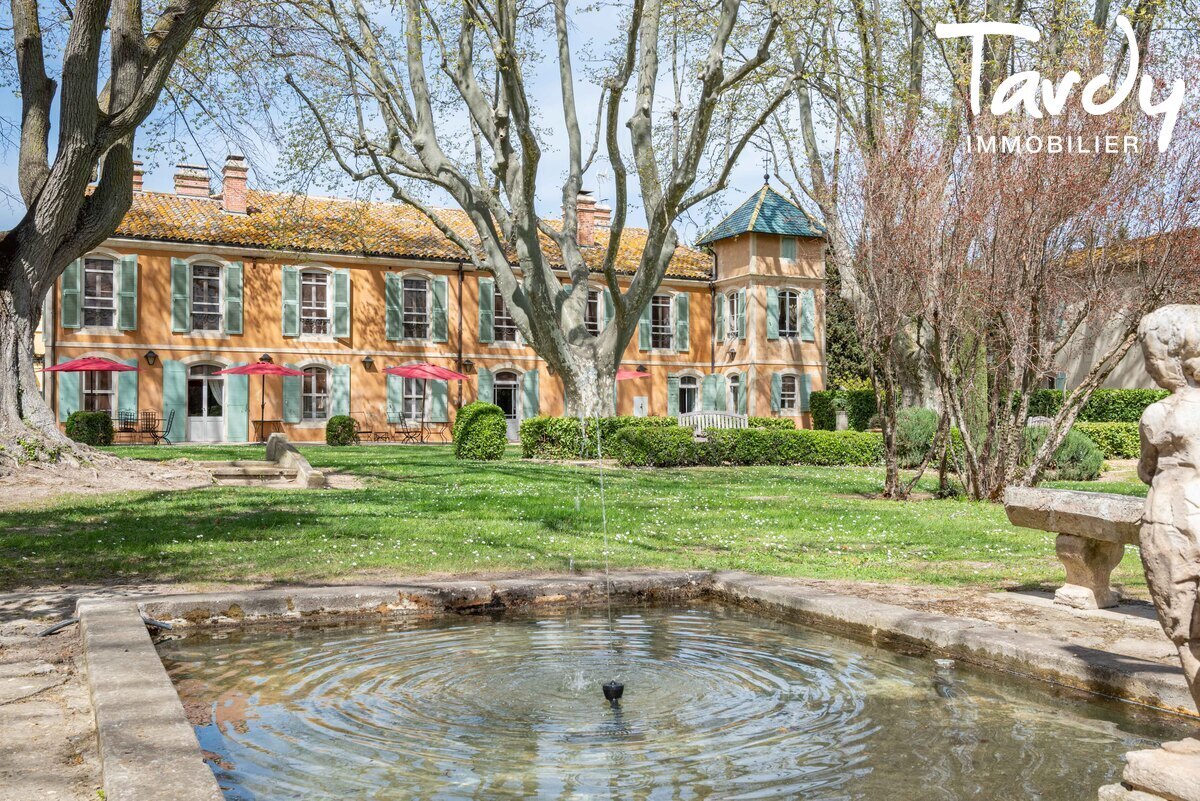 Propriété du XVIII siècle - pays d'Arles - 13280 ARLES - Saint-Rémy-de-Provence - Propriété investisseur Alpilles Tardy Immobilier