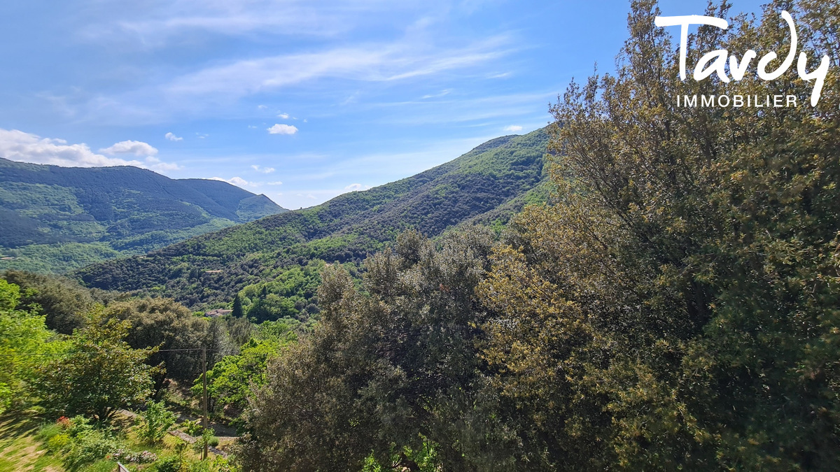 Vritable Mas Cvenole - 30170 CROS - Saint-Roman-de-Codires - monts des Cevennes