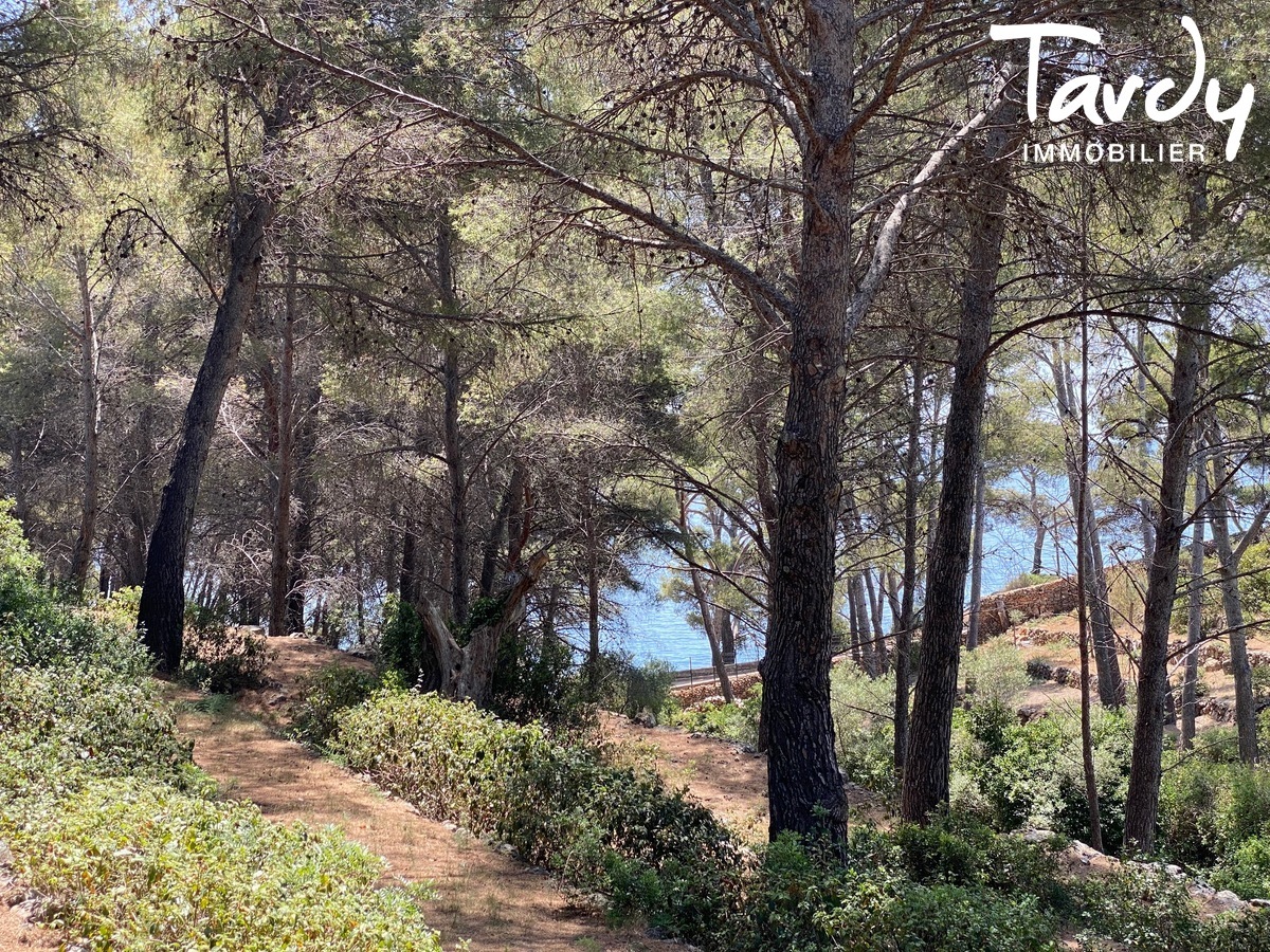 Contemporaine, la mer et la plage  pieds - 83150 BANDOL - Bandol - CONTEMPORAINE mer  pied Bandol Tardy Immobilier