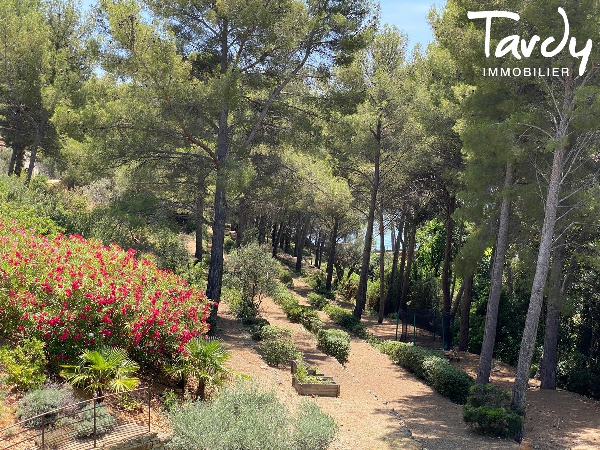 Contemporaine, la mer et la plage  pieds - 83150 BANDOL - Bandol - TARDY IMMOBILIER Villa Bandol vue mer
