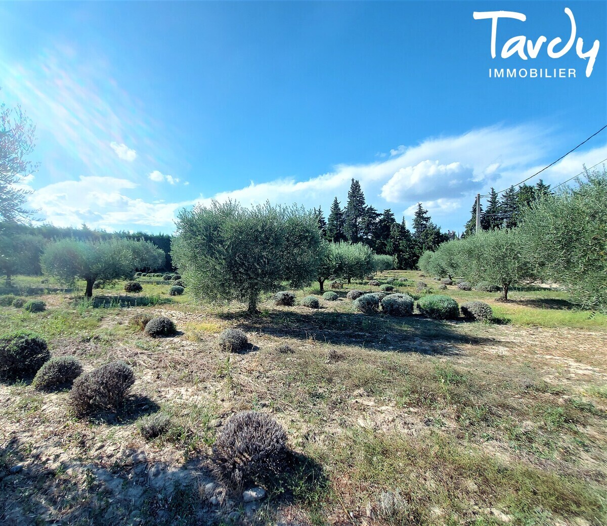 Mas en pierre - 3 habitations possibles - 13560 SENAS - Snas