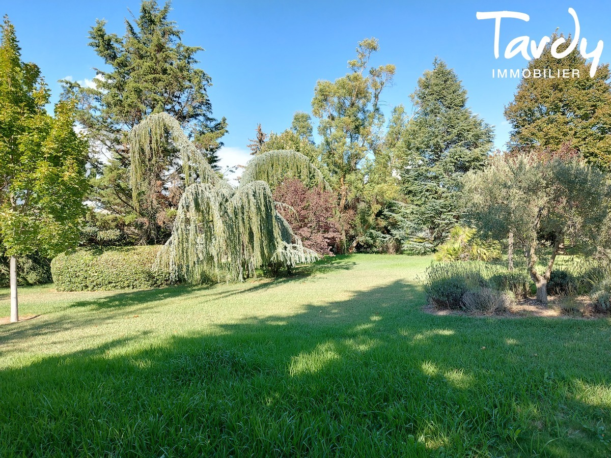 Mas en pierre - 3 habitations possibles - 13560 SENAS - Snas
