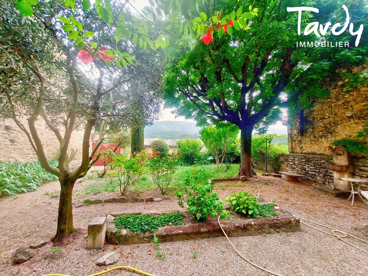 Maison de charme, centre village - 84560 MENERBES - Mnerbes
