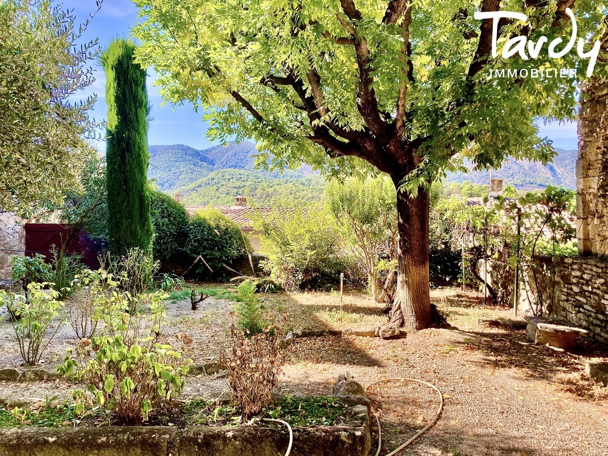Maison de charme, centre village - 84560 MENERBES - Mnerbes - MAISON DE VILLAGE AVEC JARDIN ET GARAGE 84560 MENERBES