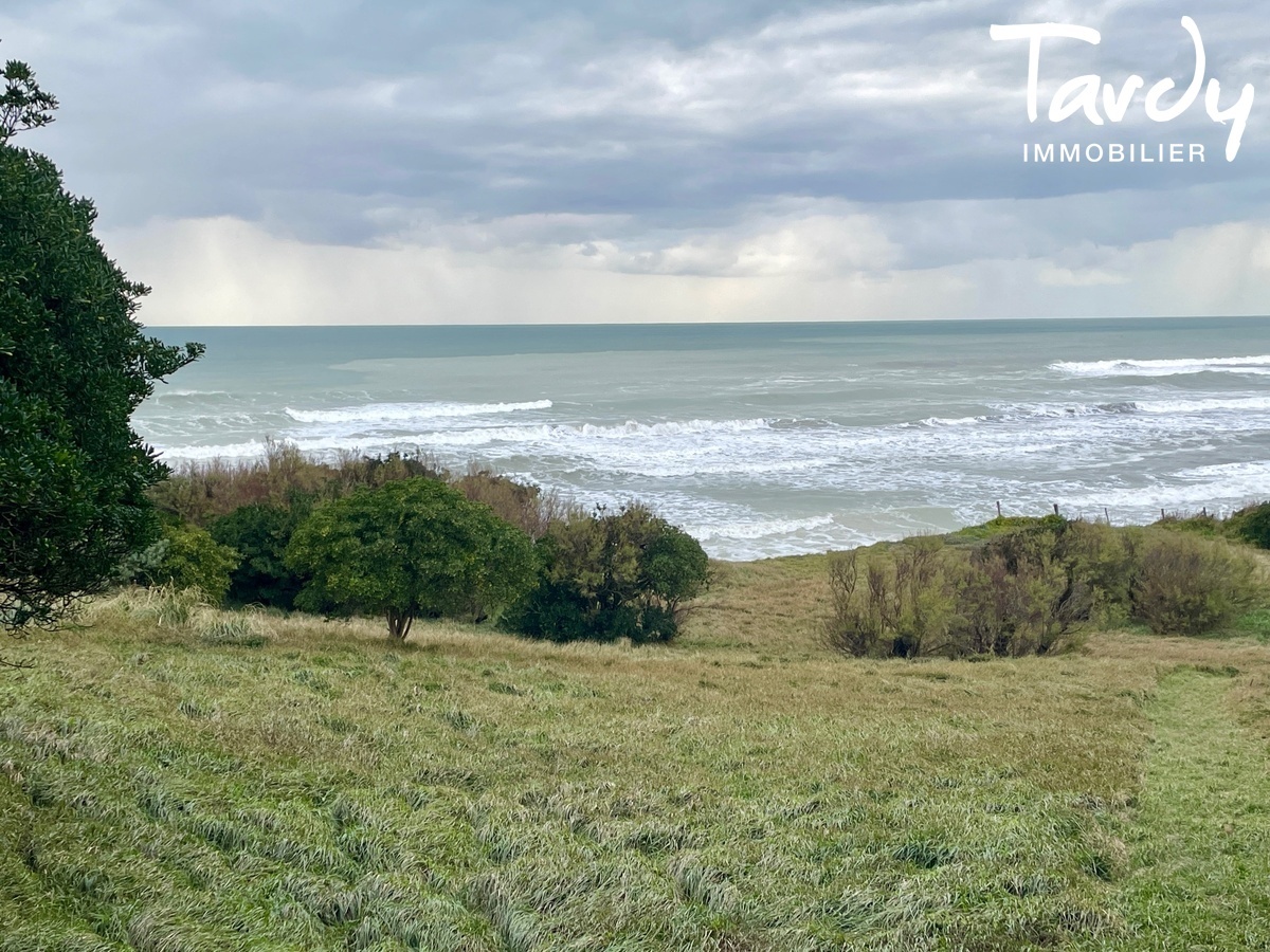 Proprit pieds dans l'eau - Pays Basque - BIDART - Bidart