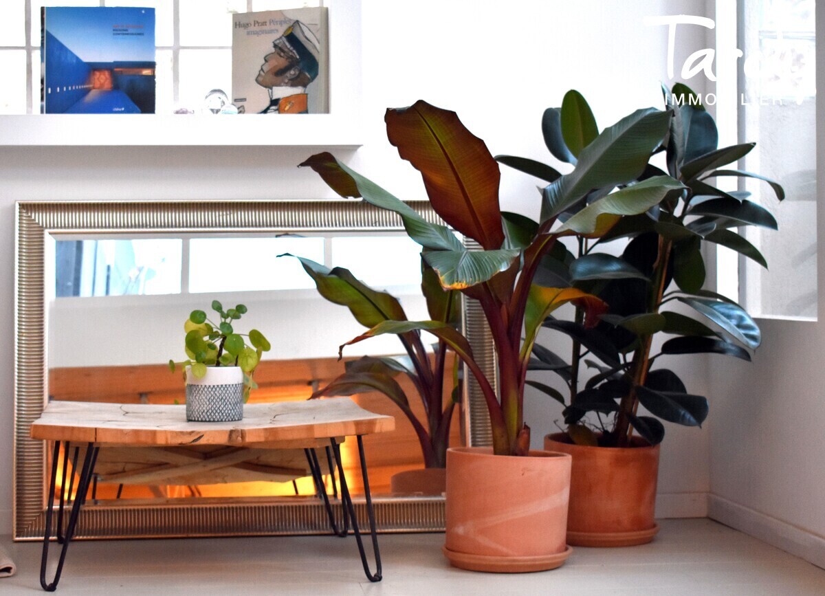 Appartement avec piscine, cur de ville  83400 HYERES - Hyres - Loft avec piscine centre ville Hyres Tardy Immobilier