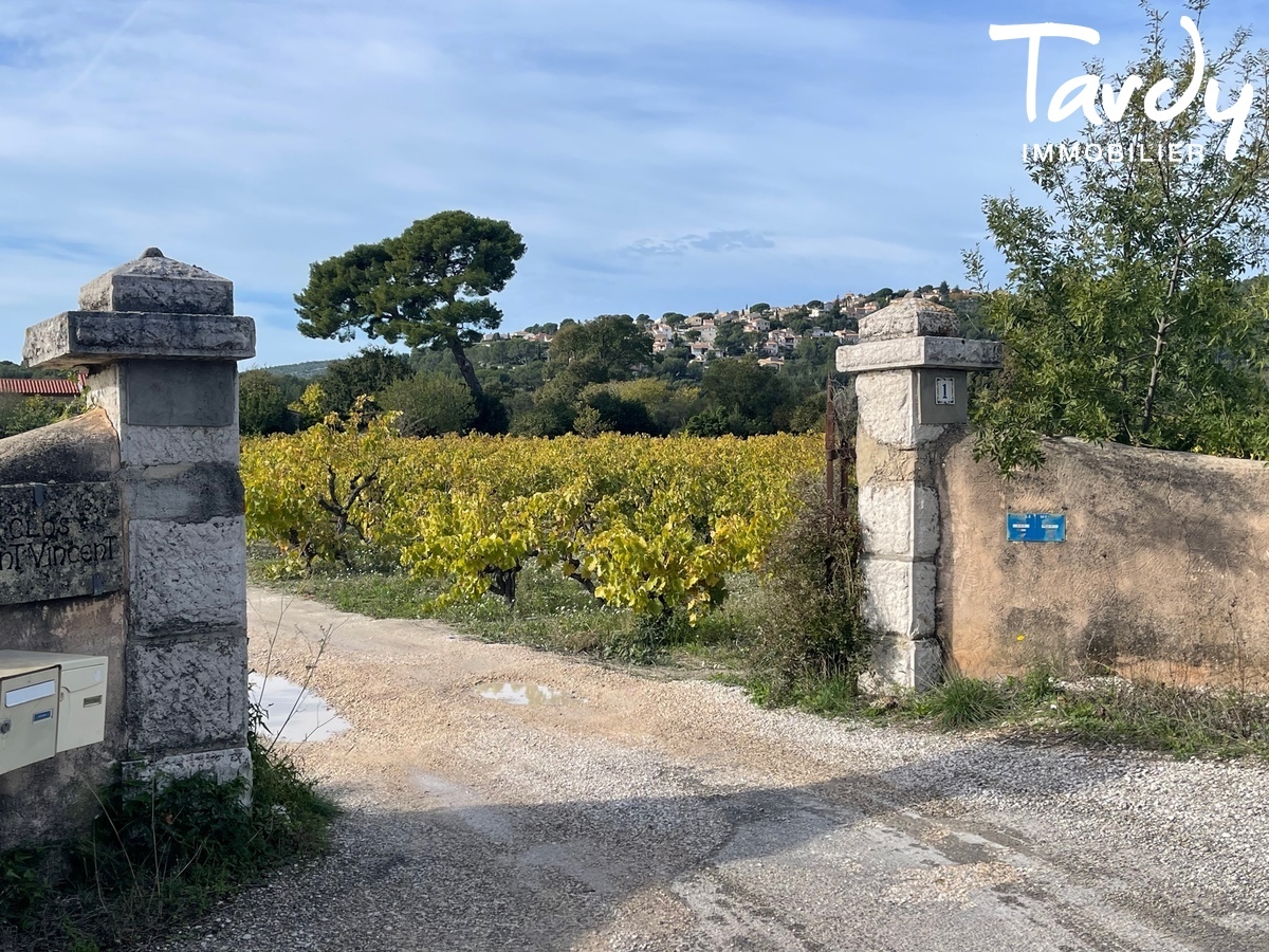 Villa trs ancienne - Au milieu des vignes - 13260 CASSIS - Cassis