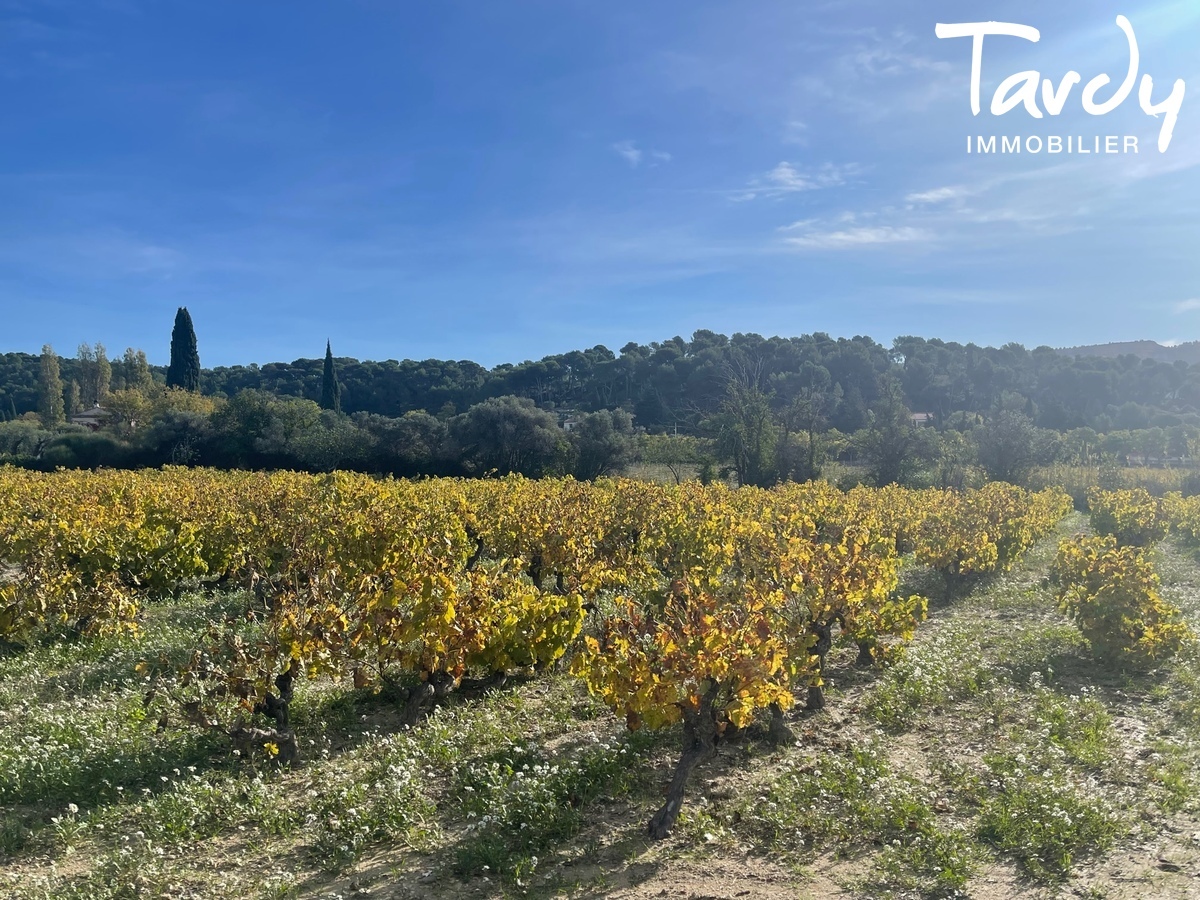 Villa trs ancienne - Au milieu des vignes - 13260 CASSIS - Cassis