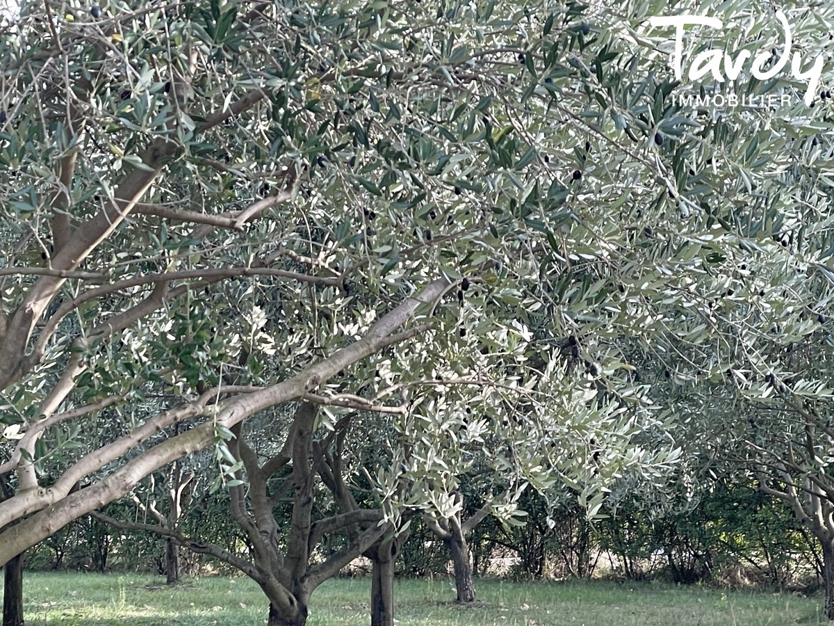 Domaine Templier Viticole, Evnementiel - 50 hectares - 83690 SALERNES - Salernes