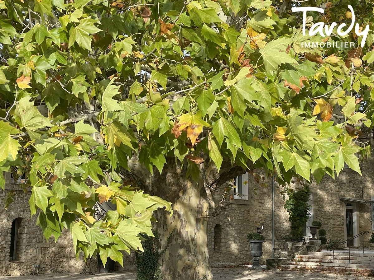 Domaine Templier Viticole, Evnementiel - 50 hectares - 83690 SALERNES - Salernes - Proprit en pierre Villecroze Vignes et Oliveraie