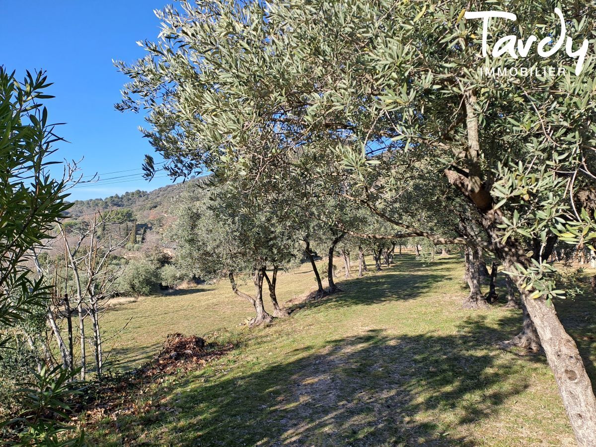 Maison ancienne - proche centre village - 84160 LOURMARIN - Lourmarin