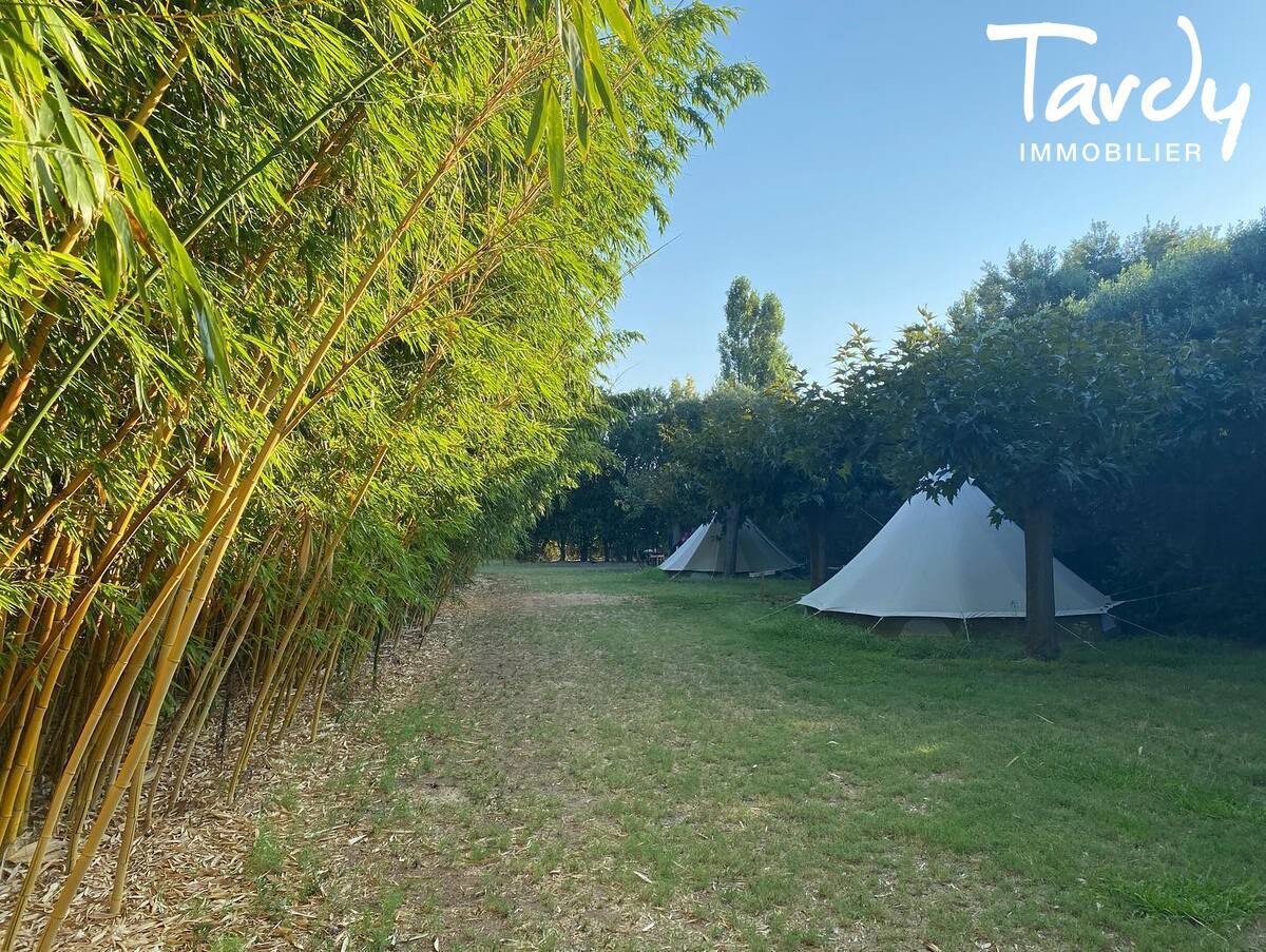 Domaine agricole au calme, avec piscine - 83400 HYERES - Hyres