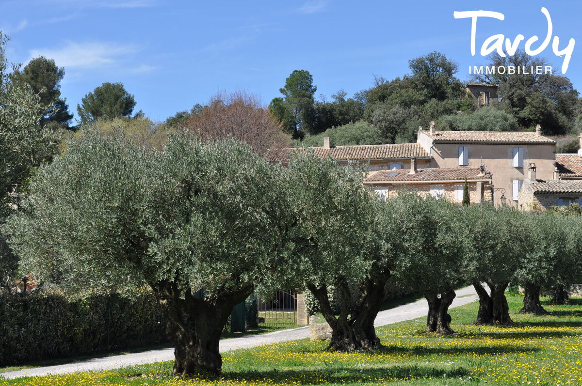 Maison de Hameau  rnover avec vue dgage  84160 LOURMARIN - Lourmarin