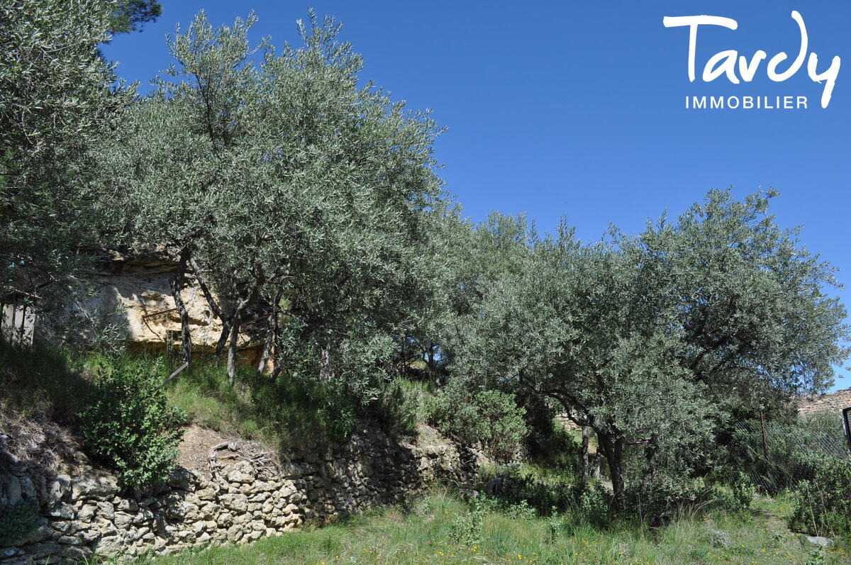 Maison de Hameau  rnover avec vue dgage  84160 LOURMARIN - Lourmarin - Maison de village - 84160 Lourmarin - Tardy-Immobilier