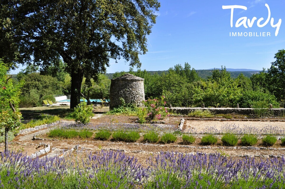 Bergerie dans un lieu magique - 84480 BONNIEUX - Bonnieux - Bergerie en pierre avec vue - 84480 Bonnieux - Tardy-Immobilier